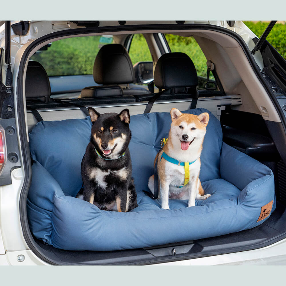 Siège Auto Pour Chien — Voyagez Ensemble En Toute Sécurité