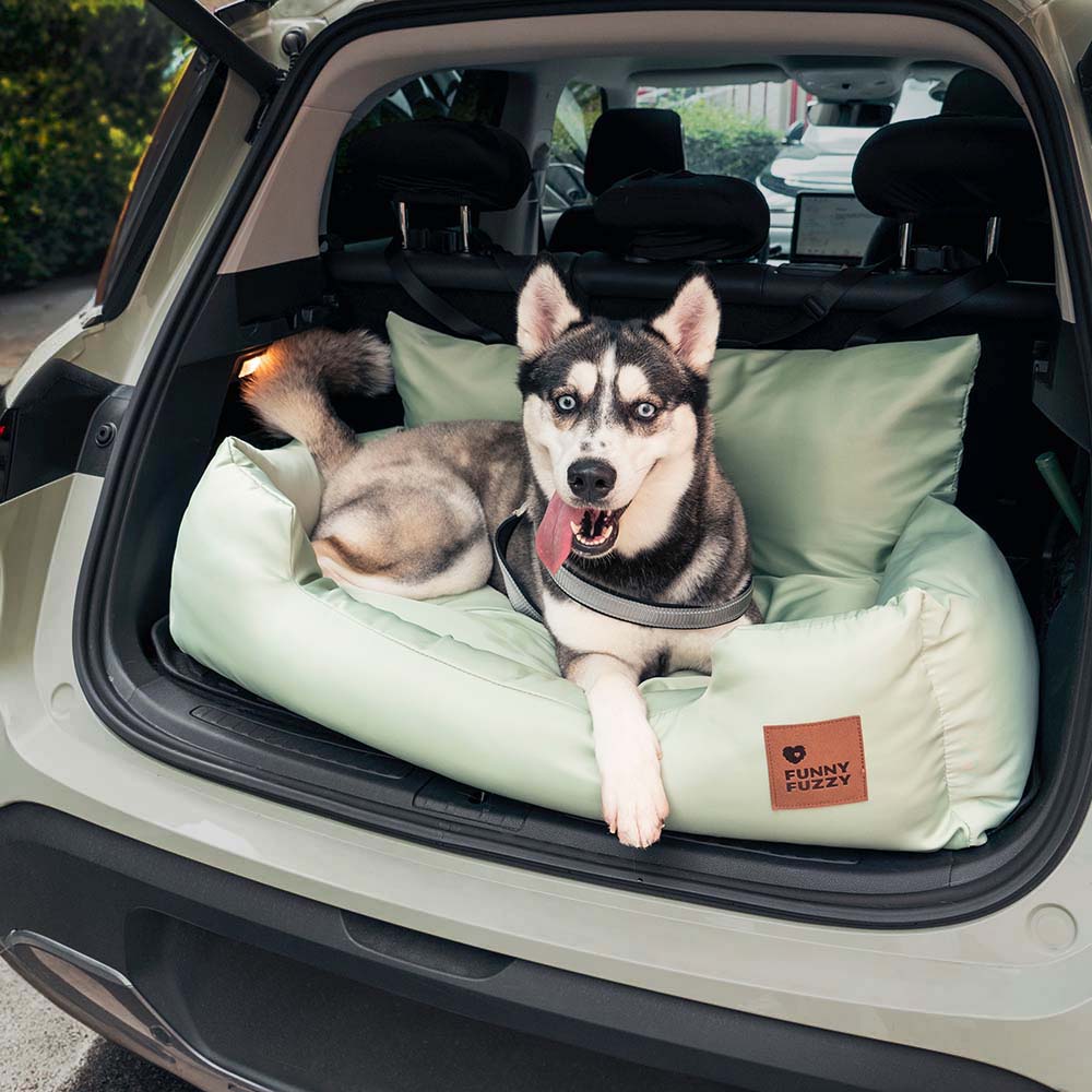 Siège Auto Pour Chien — Voyagez Ensemble En Toute Sécurité