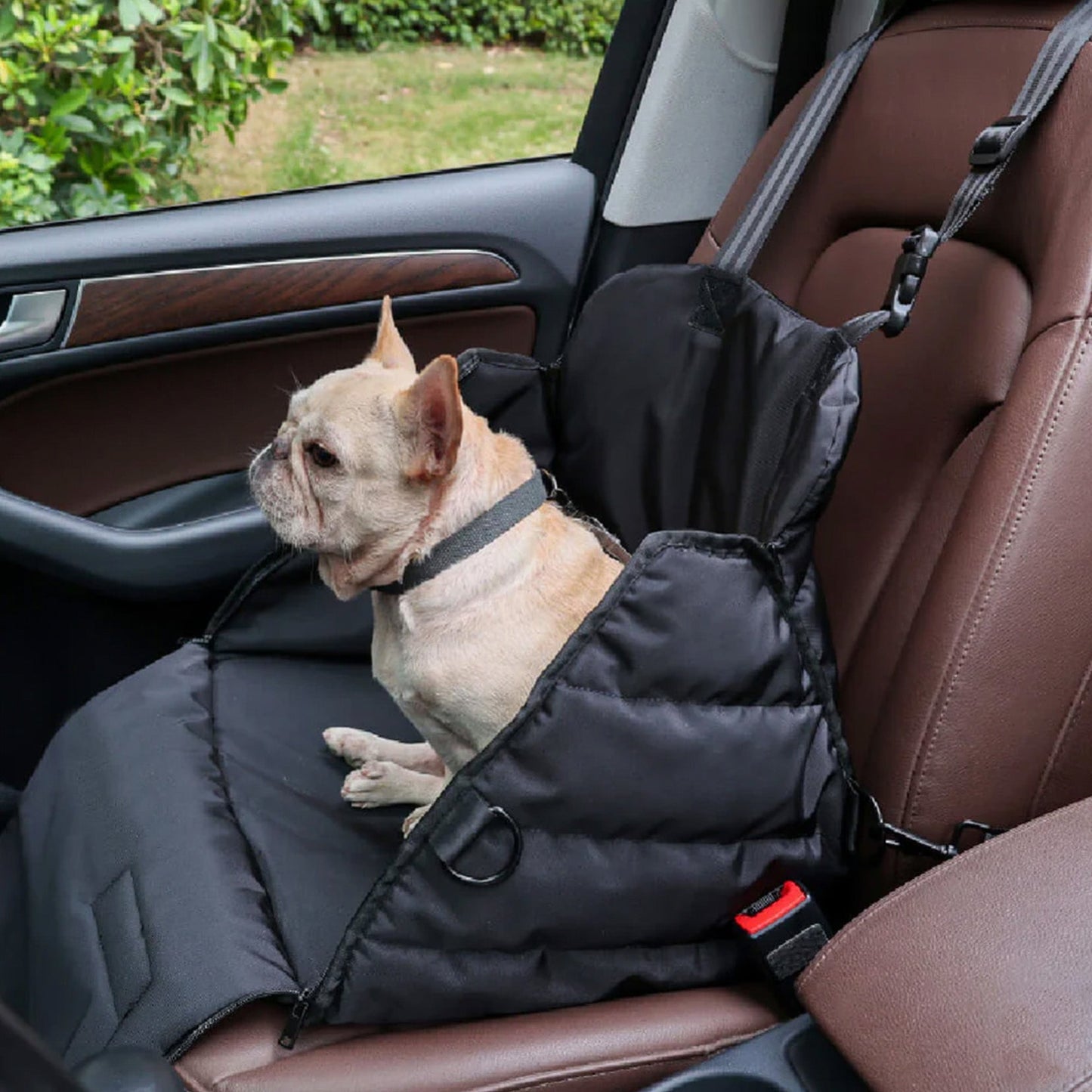 Cesto Auto Per Cani – Comfort E Sicurezza In Viaggio