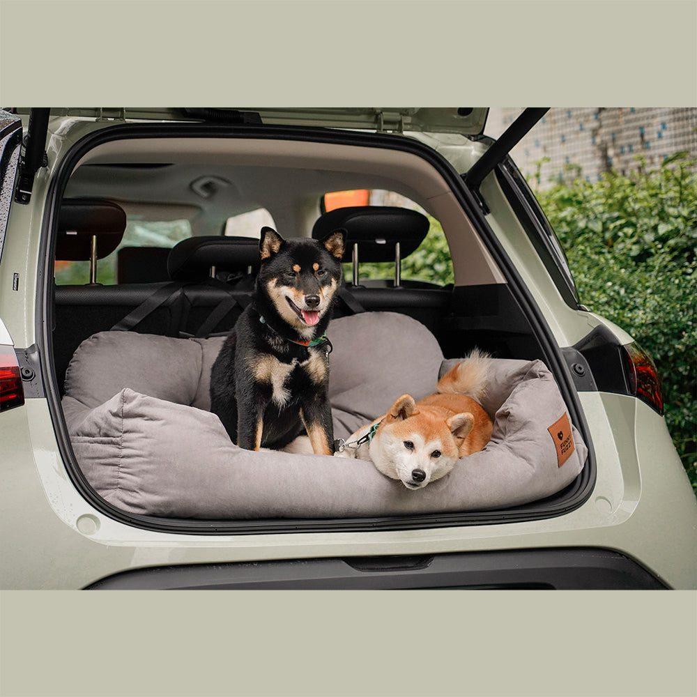 Siège Auto Pour Chien — Voyagez Ensemble En Toute Sécurité