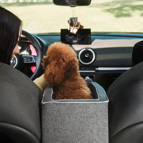 Căruț De Călătorie Auto Pentru Câini – Perfect Pentru Mici Companioni 