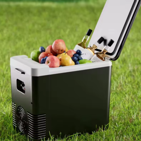 ثلاجة صغيرة وسخان طعام للسيارة — 2 في 1 عملي 